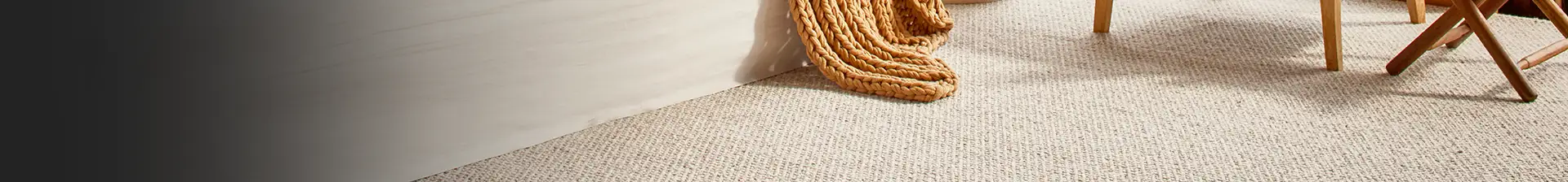 Carpet Main Banner.png